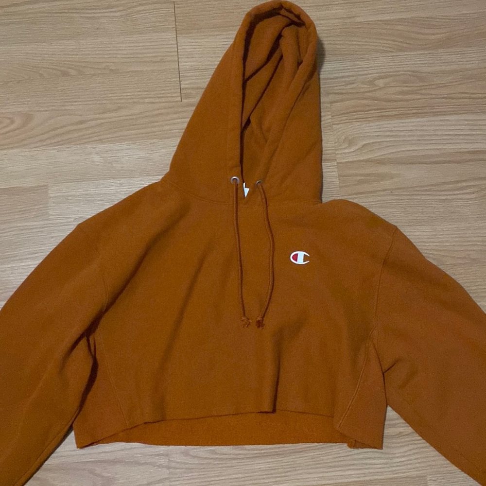 Cropped champion hoodie